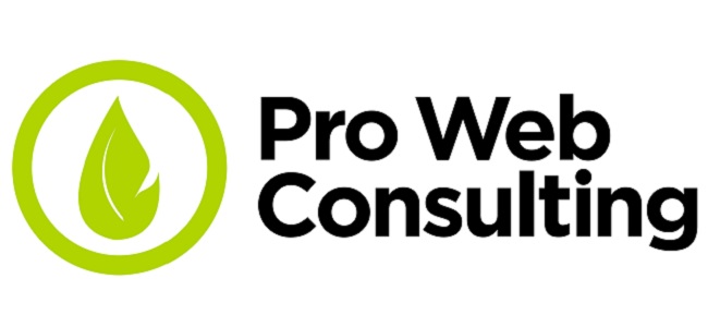 Agenzia SEO Pro Web Consulting