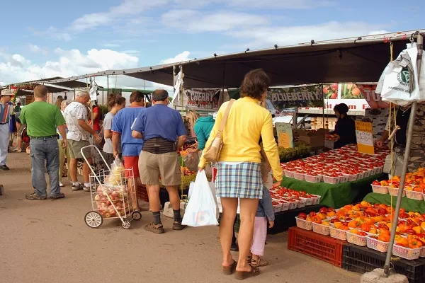 Fare la spesa, costo sacchetti bio fino a 24 euro annui a famiglia